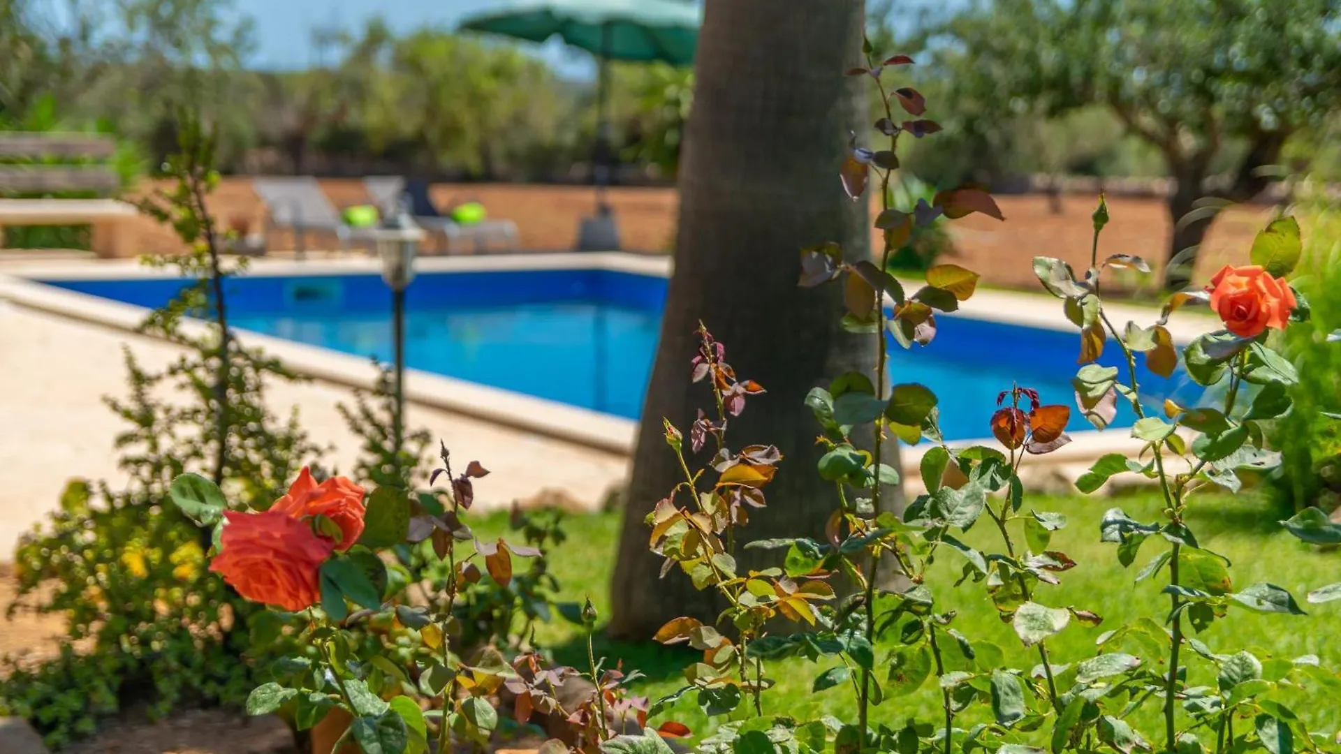 Es Coco De Sa Mola Villa Cala Mondrago  Spain